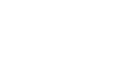 Vector