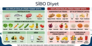 SIBO Diyeti Listesi