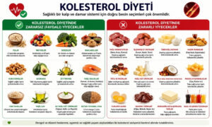kolesterol diyeti