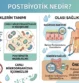 Postbiyotik Nedir? Faydaları ve Probiyotikten Farkı