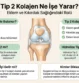 Tip 2 Kolajen Ne İşe Yarar